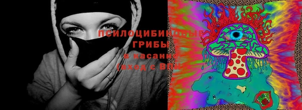 mdpv Дмитровск