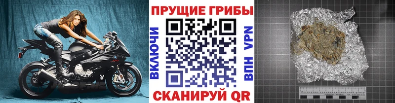 KRAKEN ССЫЛКА Назарово Галлюциногенные грибы Psilocybine cubensis