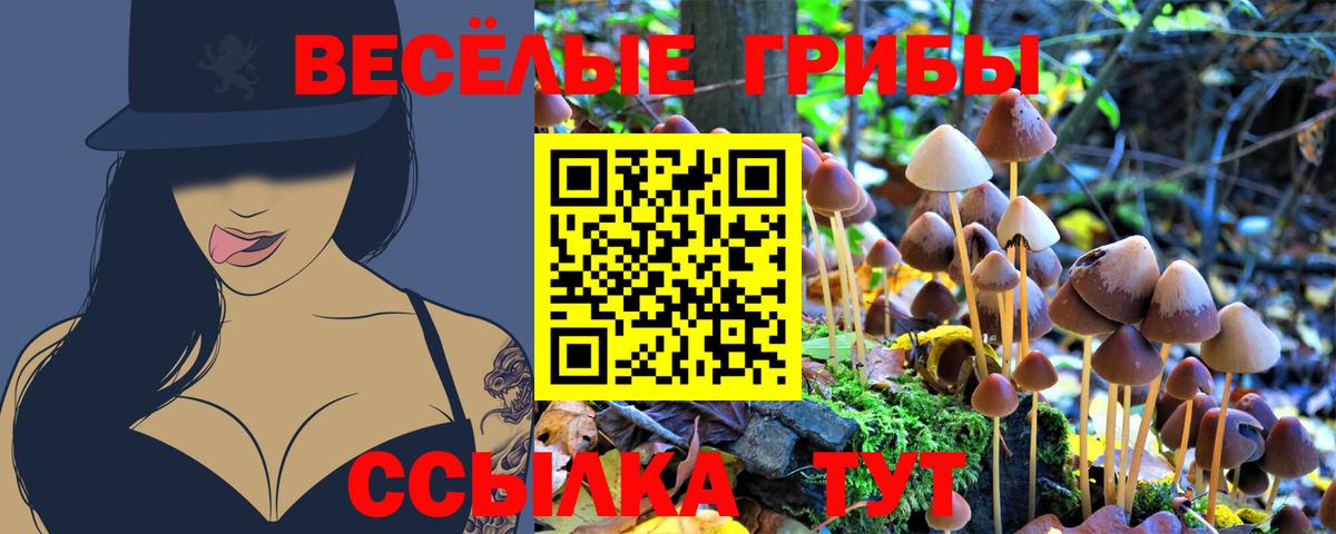 Галлюциногенные грибы ЛСД Назарово