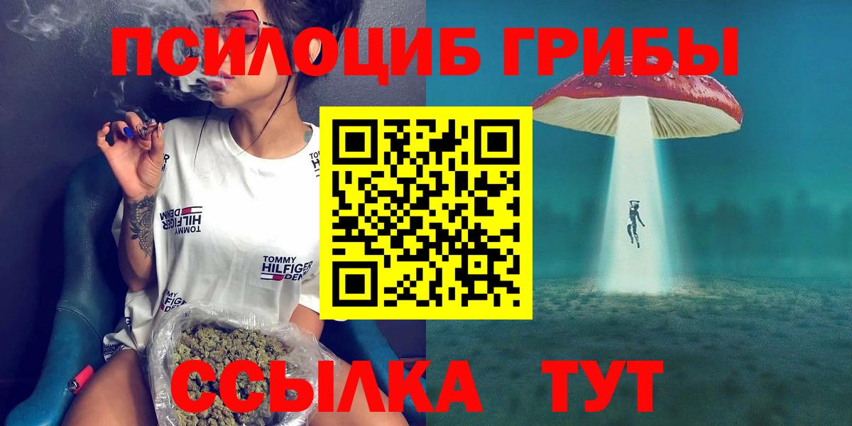 Галлюциногенные грибы Psilocybine cubensis  Назарово 